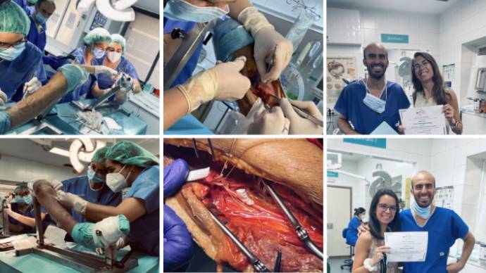 2022 06 20 Varios momentos del desarollo del curso