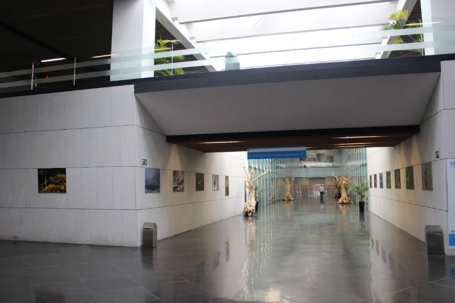 HOSPITAL_VILLALBA_INTERIOR