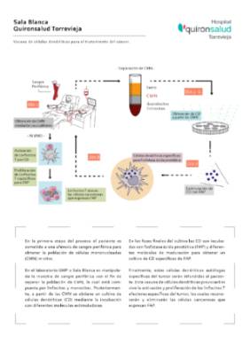 infografia sala blanca_a4_300pp