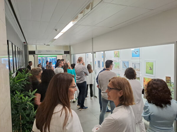 exposición pájaros Sagrat Cor