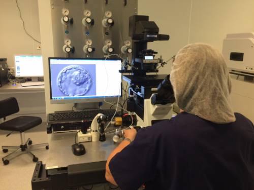 Laboratorio FIV del Area de Reproducci+¦n Humana Asistida de Dexeus Mujer