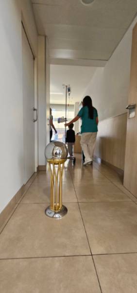 visita copa rey 2