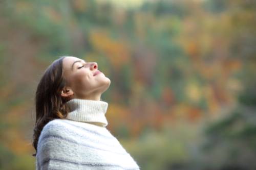iStock-1292470755