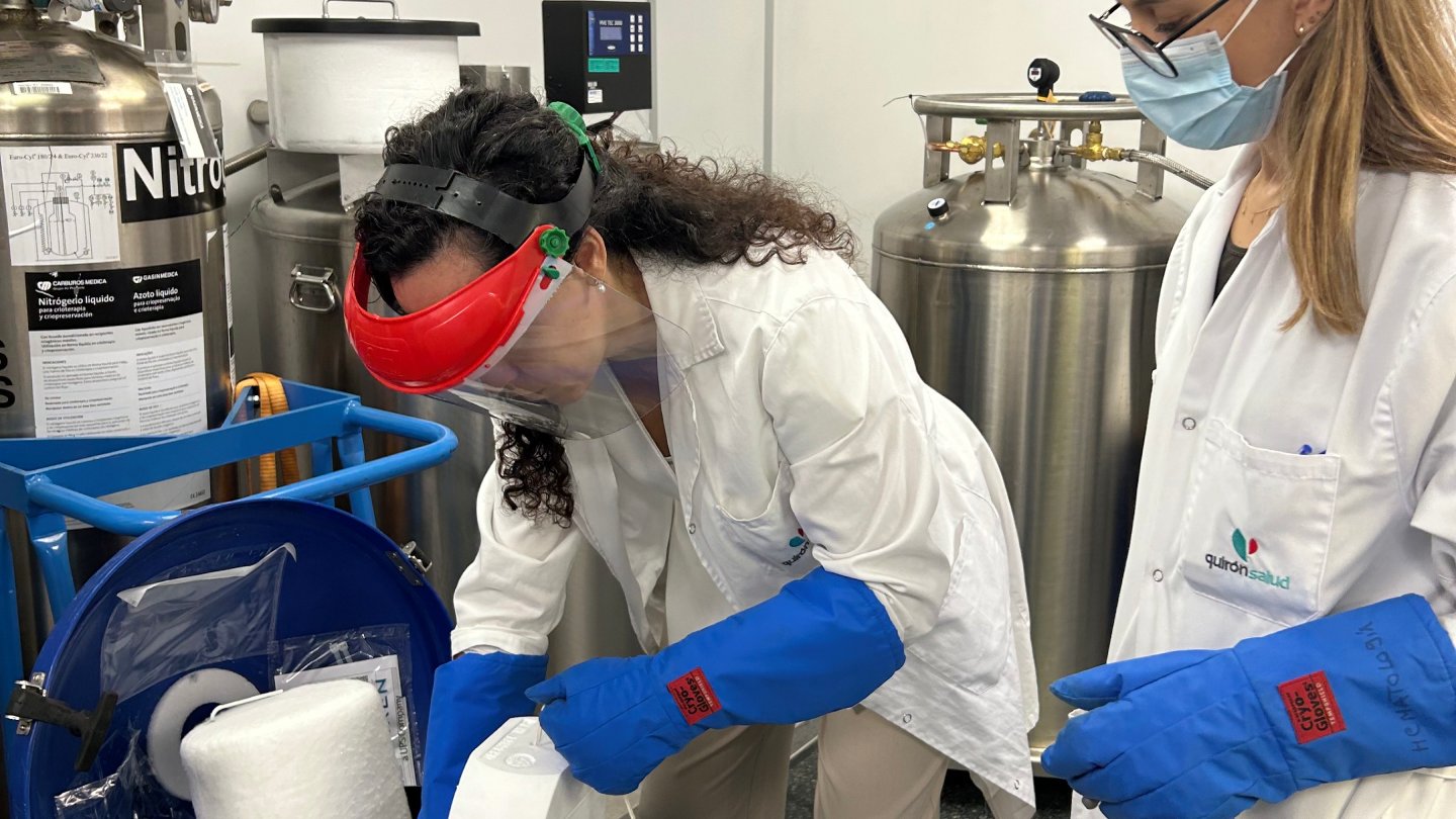 banco de sangre CAR-T