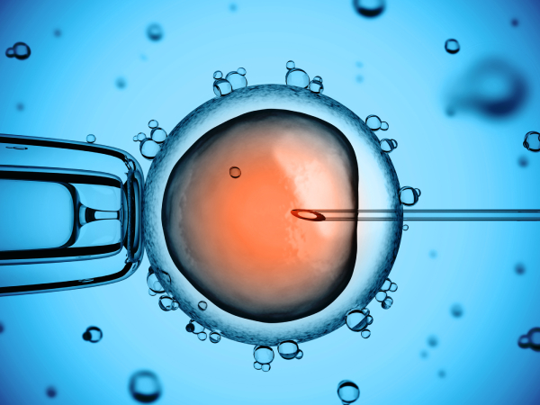 Reproduccion asistida Quironsalud Barcelona