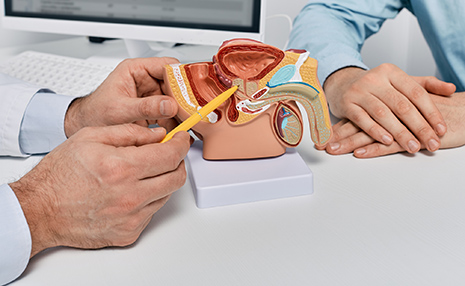 disfunción eréctil web 2