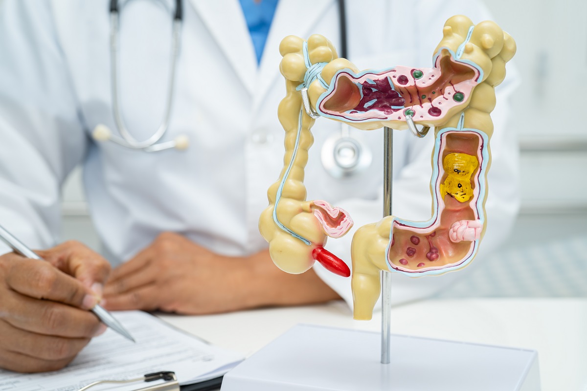 aparato digestivo torrevieja quironsalud