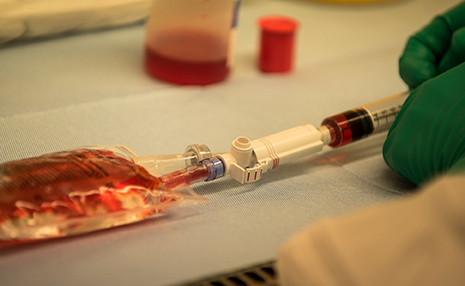 oncohematología web2