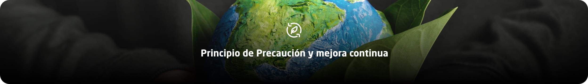 QS_grupo_precaucion_web