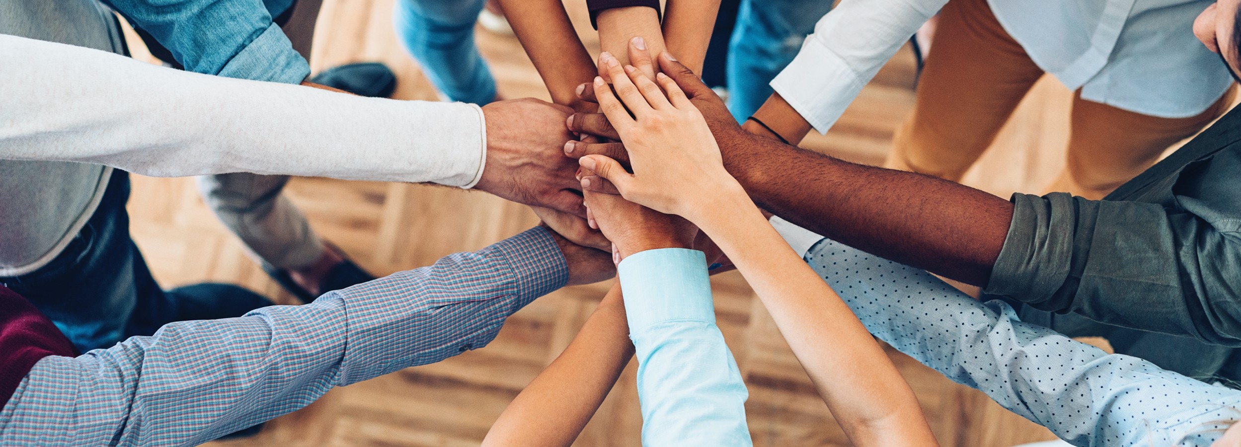 QS_grupo_ddhh_detalle_RSC_web