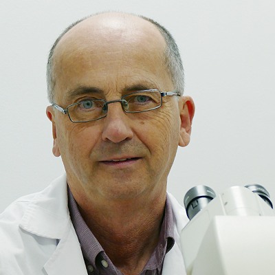 Antonio Candia Fernández
