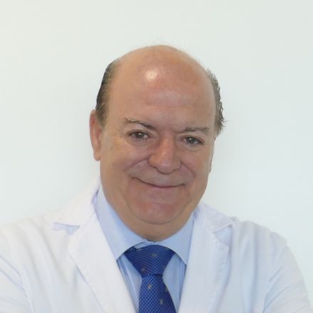 Vicente Martínez de Vega