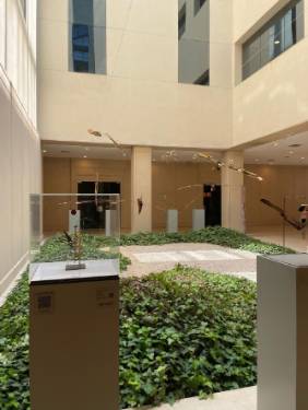 Exposición “Diálogos, danzas y silencios”