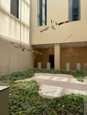 Exposición “Diálogos, danzas y silencios”