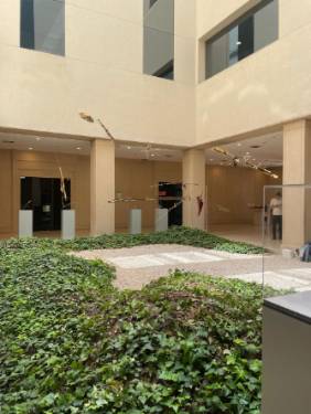 Exposición “Diálogos, danzas y silencios”