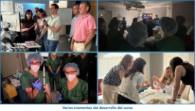 Varios momentos del desarrollo del curso