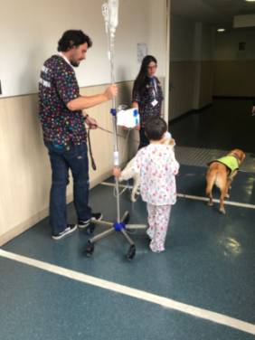 Terapia Perruna Fin de Año 3