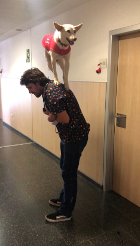 Terapia Perruna Fin de Año 4