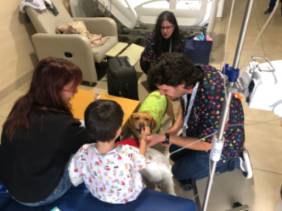 Terapia Perruna Fin de Año 5