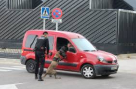 Patrulla Canina Collado Mediano 3