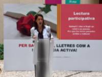 SantJordi1