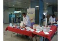 imagen1