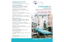 imagen1