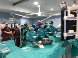 WORKSHOP 11- 5 - 1