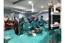 WORKSHOP 11- 5 - 1