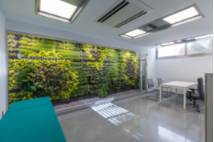 cm_quironsalud_costadelsol_consulta