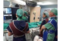 I Workshop Unidad del Dolor
