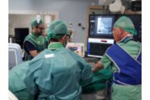 I Workshop Unidad del Dolor