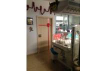 UCI NEONATAL 3