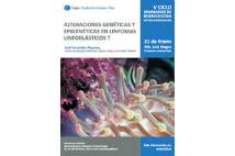 imagen1