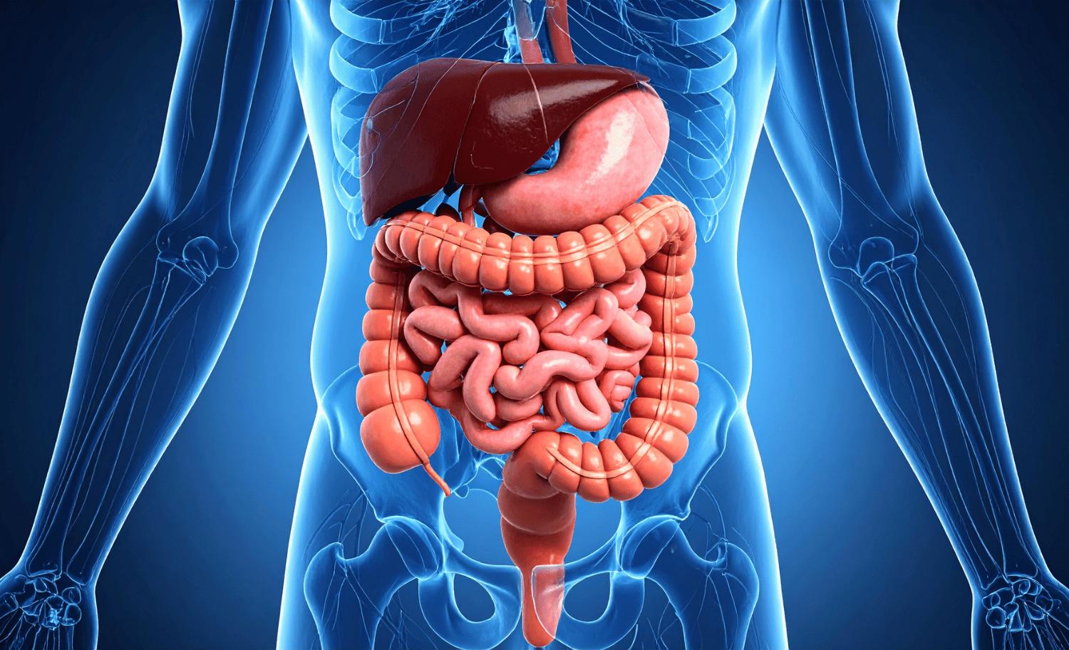 Patología Digestiva