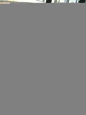 IMG-20191220-WA0005