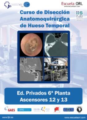 documento adjunto