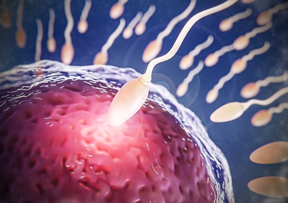 Reproduccion asistida (1)