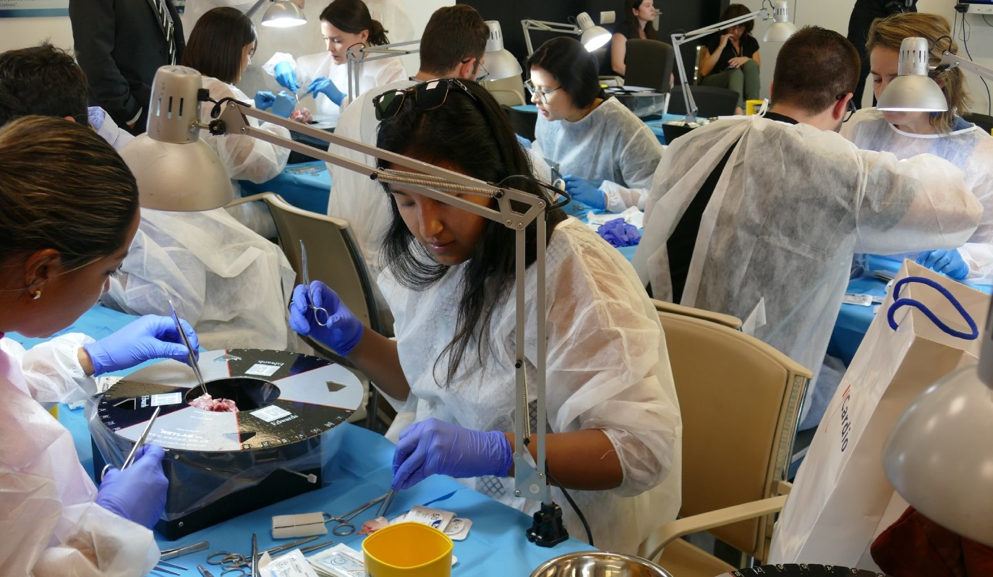 Curso de reparacion valvular aórtica2