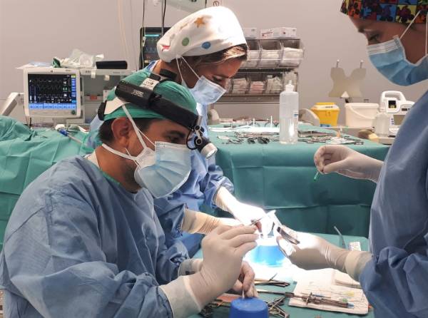 El doctor Aguilar preprando en quirófano una reconstrucción de nariz por deformidad nasal.