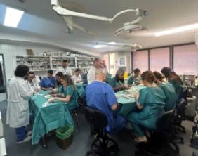 2024 06 19 Un momento del desarrollo de la parte práctica del II Curso de Cirugía Menor