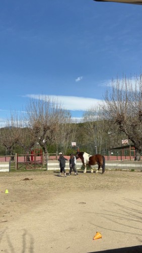 Granja-Ability-Training-Center-terapia-trastornos-salud-mental