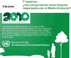 imagen1