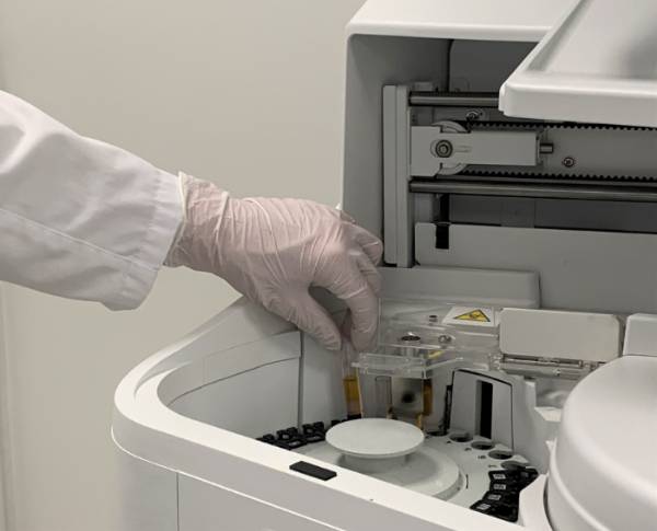 Una muestra en laboratorio.