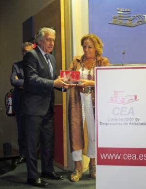 Andalucia Inmobiliaria 1