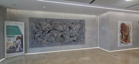 465 Leyton_Quironsalud._Marbella2