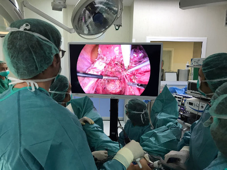 Cirugía endometriosis Dexeus Dr Pere Barriweb