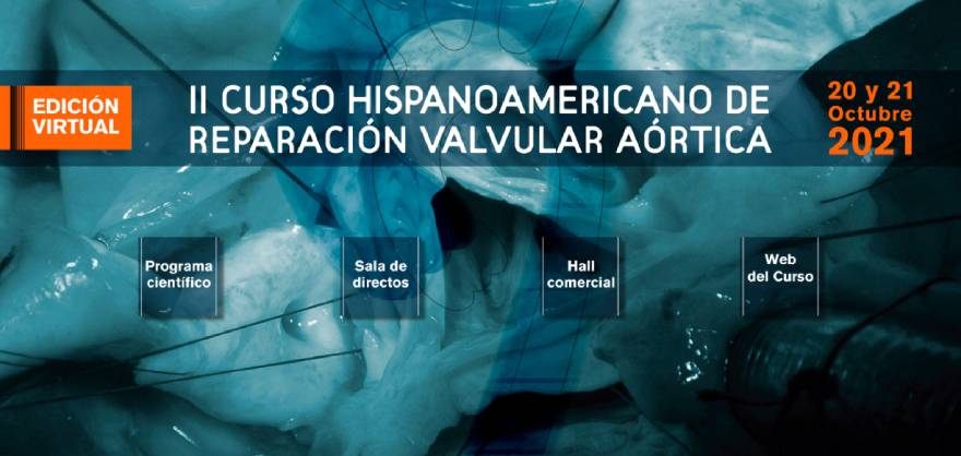 reparacion valvular. Este enlace se abrirá en una ventana nueva