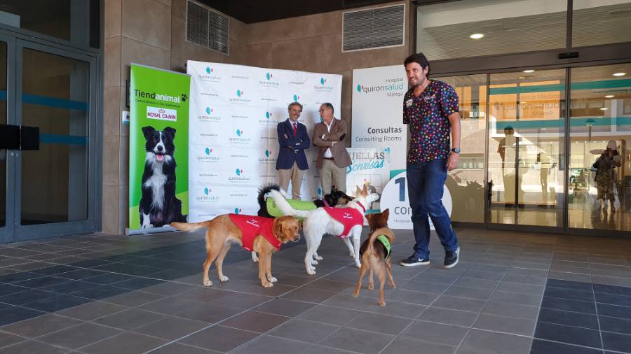 huellasysonrisas_quironsaludmalaga_perros_