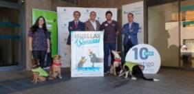 huellasysonrisas_quironsaludmalaga_acuerdoconperrosyequipo_